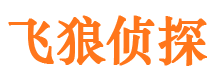 源汇市侦探调查公司